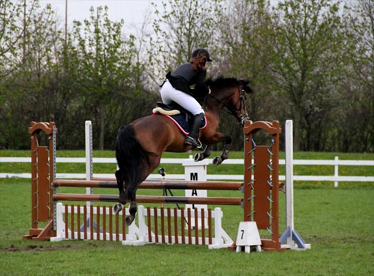 New Forest A Million - 7. Mille og alex springer <3 Foto: Animal-print billede 7