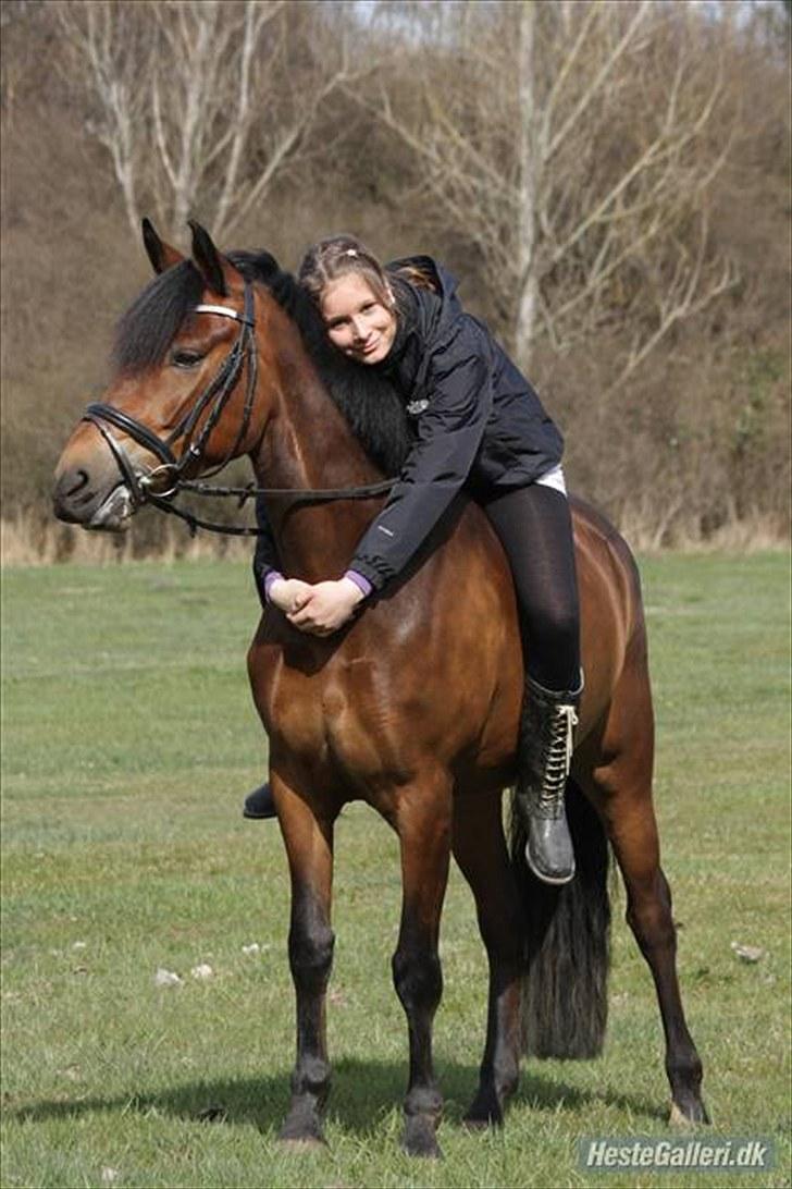 New Forest A Million - 13. spring :-) foto: mig billede 13