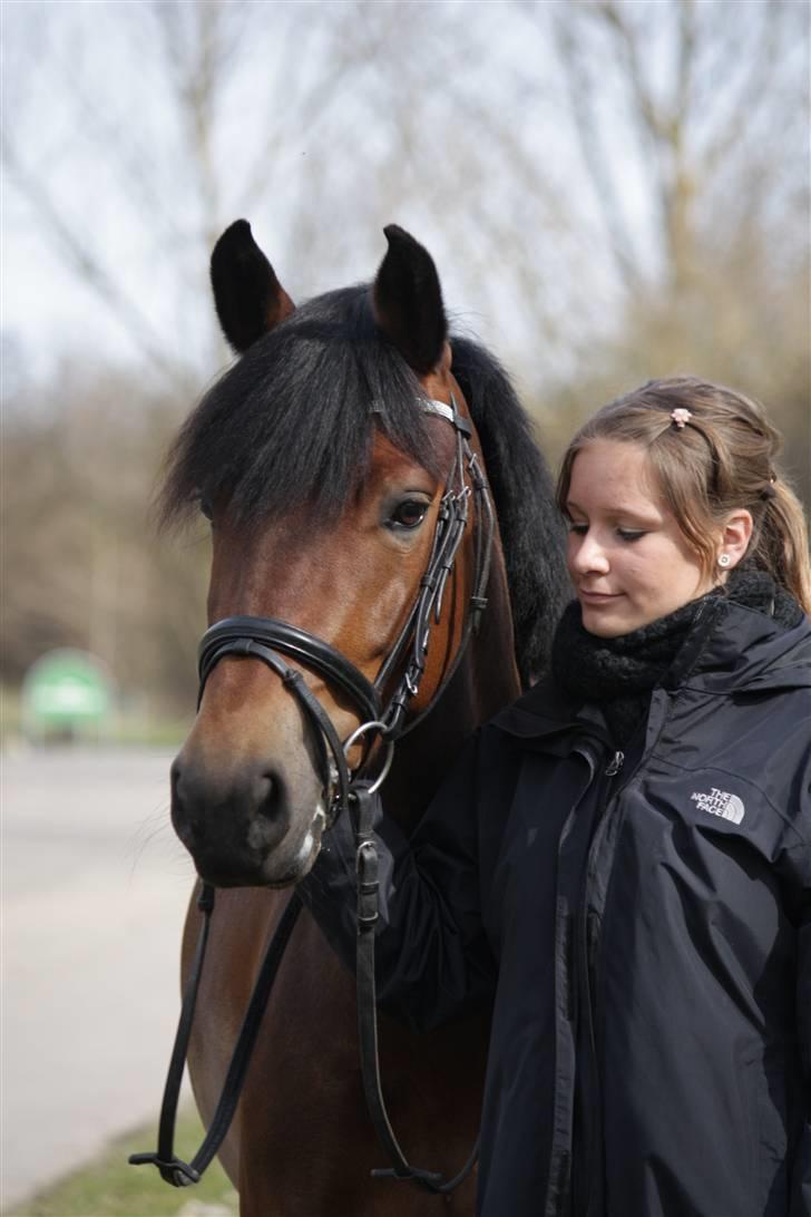 New Forest A Million - 15. Foto: Crillo billede 15