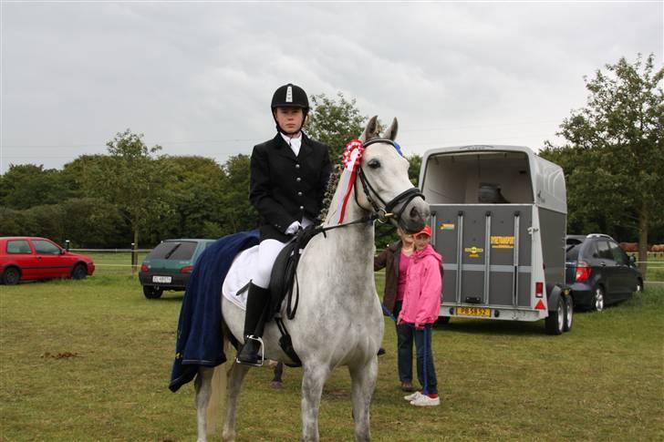 DSP Holmgaards Galant Solgt - 1 plads :D I lc2 Super :) er så stolt af dig kalle mand elsker dig <3 billede 2