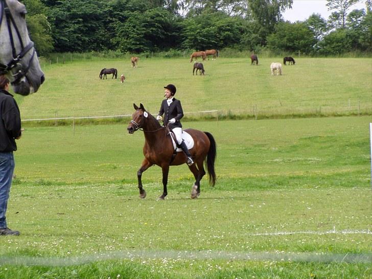 Anden særlig race Clay - Min mor og Clay til deres sidste stævne, som var i 2004. Her på billedet tror jeg de afventer at komme i gang med kugleridning eller en af de andre decipliner de stillede op i. Clay i en alder af 21 år :) billede 15