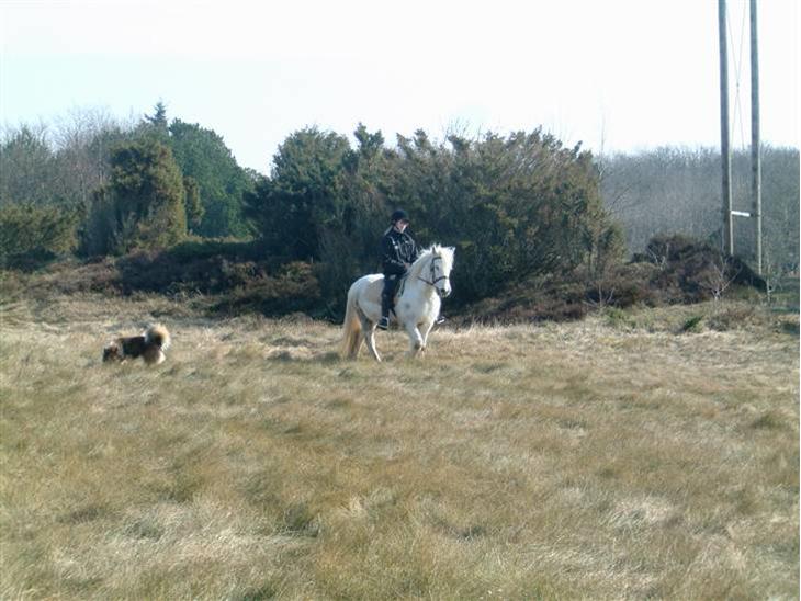 {{currentPhoto.altText}} billede {{currentPhoto.number}}