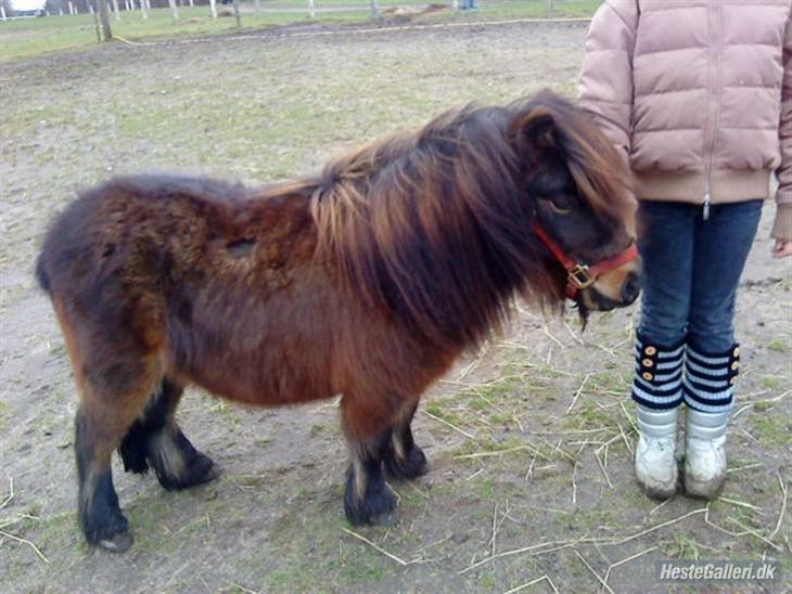 {{currentPhoto.altText}} billede {{currentPhoto.number}}