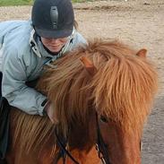 Islænder Bjarni fra Søsum