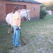 Anden særlig race Rosendahl´s Frederik