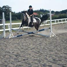 Anden særlig race Apache *Gl. Part