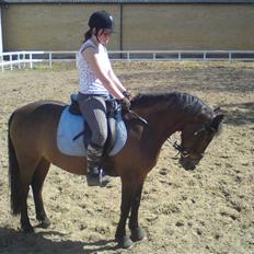 Anden særlig race † Rocky †