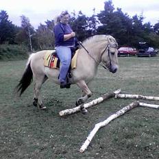 Fjordhest Bella (Død d.19-02 2014)