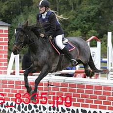 Connemara Molly Malone **R.I.P**:'(