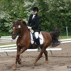 Anden særlig race Agent 007<31994 -2007 /