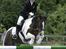 Tinker Frederik (Solgt) - Til springstævne.. D. 17-18/9-2005