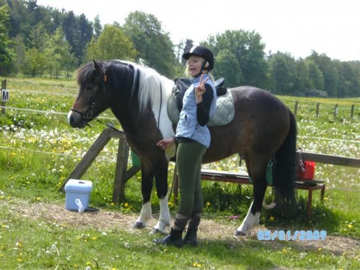 Islænder Embla fra Vesterlund - inden ridetur.<3 billede 6