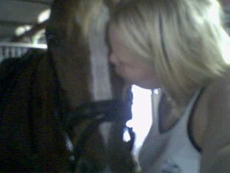 Traver Filur billede 6