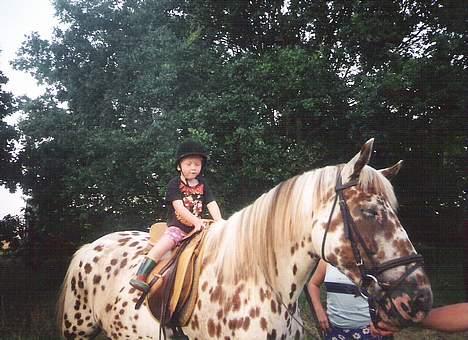 Knabstrupper Van Gogh - Her er det så lille Camilla der lige skal højt til vejrs billede 14