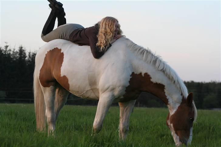 Anden særlig race Joe - hvil i fred - ::):):):) billede 8