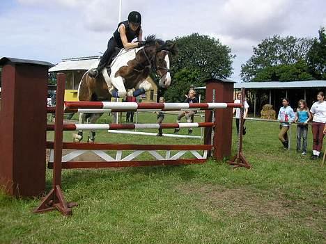 Tinker Frederik (Solgt) - Det er 140.. Jeg har sprunget 145 på ham.. billede 1