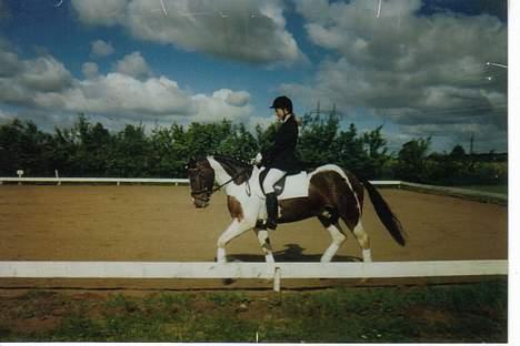 Tinker Frederik (Solgt) - Et billed fra et stævne i NVR..  billede 2