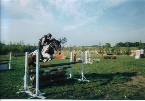 Tinker Frederik (Solgt) - Her springer vi så her hjemme.. Det er 115.. billede 3