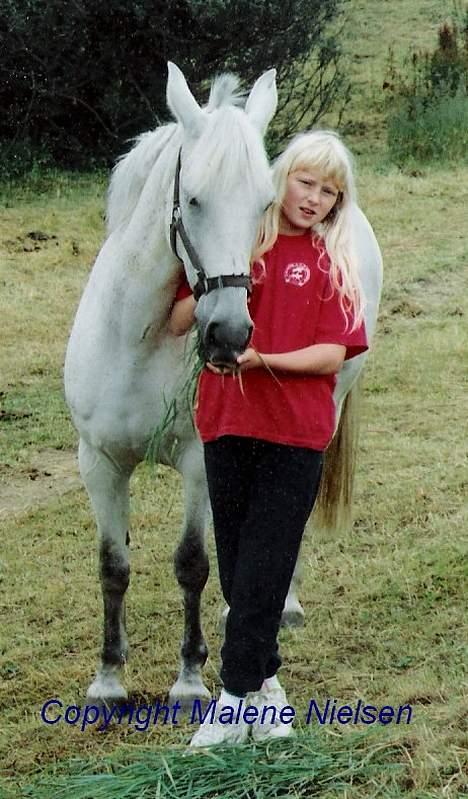 Shagya Araber (SH) Lady (Love of my life!) - Lady og mig omkring 1990! billede 11