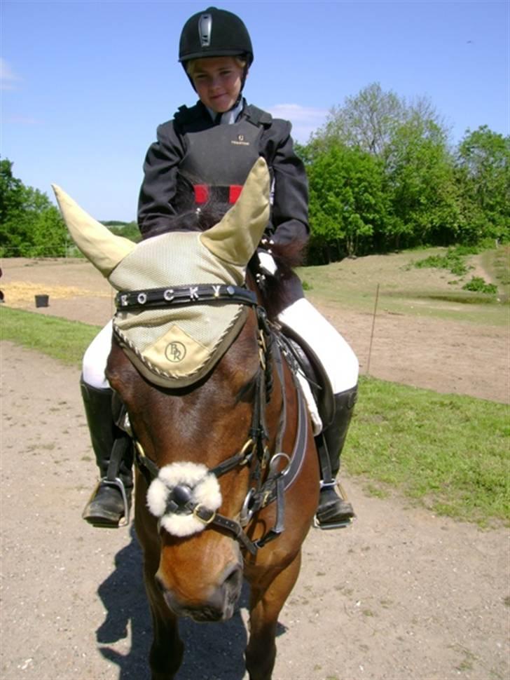 Anden særlig race † Rocky † - mig og rocky<,3 billede 2