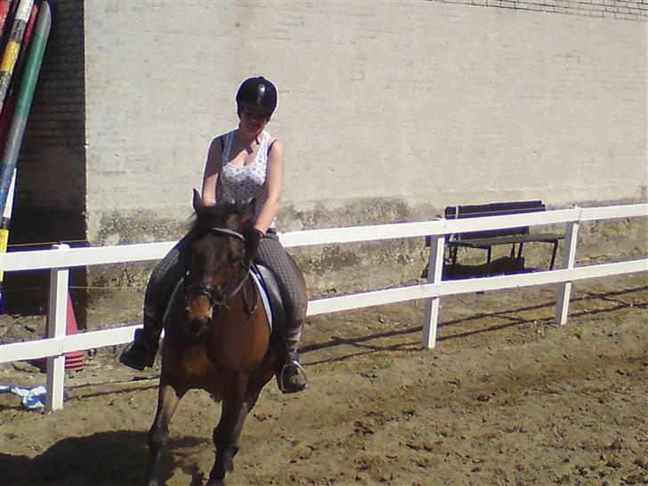 Anden særlig race † Rocky † - Mig og rocky.. Ikk så godt.. NYT billede 4