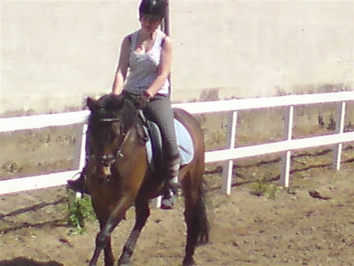 Anden særlig race † Rocky † - hans hoved igen.. billede 7