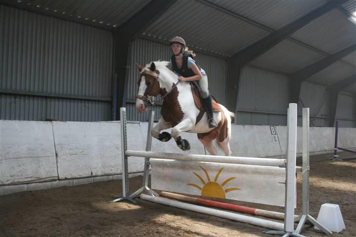 Anden særlig race Joe - hvil i fred - Joe og jeg springer på Bakkegården, efter ikke at have sprunget i meget lang tid. Han var super sød. Springet er 1 m. billede 9