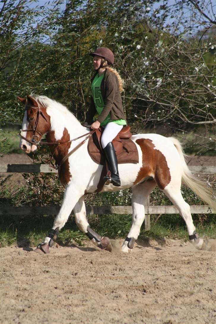 Anden særlig race Joe - hvil i fred - :) billede 10
