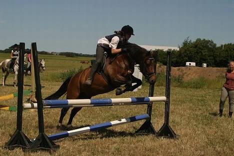 Anden særlig race † Rocky † - jubiii! hehe. han er såå sød  billede 10
