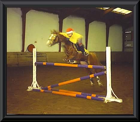 Anden særlig race Freja - Spring ved juletid:-) billede 19