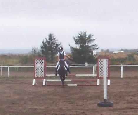 Anden særlig race Picasso - Picasso og mig i ld i Ørsted ;D billede 6