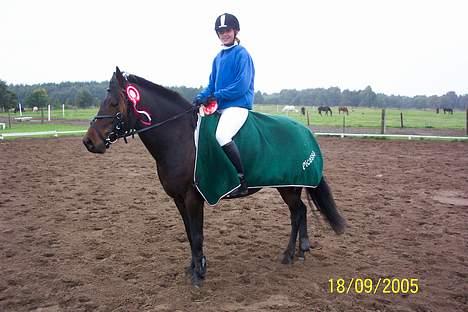 Anden særlig race Picasso - Picasso og mig i Ørsted billede 7