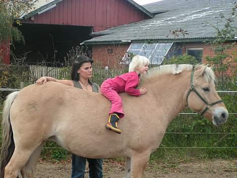 Fjordhest Bella (Død d.19-02 2014) - Freja leger hun er ude og ride galopløb ......Thi hi hi hi billede 7