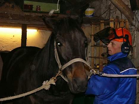Traver Peppe Skovsgård (Død)  - Mikki kikker lige ind til mig, han har halvpart i mig nu.... billede 4