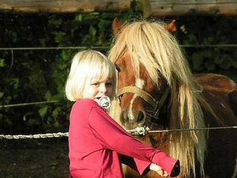 Pinto Baron (Solgt) - Han elsker børn, her er det Freja der er henne og sige farvel inden hun skal til mors sammen med hendes mor... billede 1