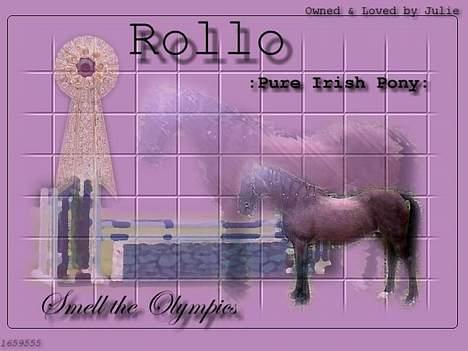 Anden særlig race Rollo † 2004 † - Fancy :) billede 11