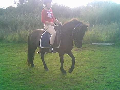 Islænder Hrafntinna fra Hejelte - Rap og hendes part Louise... billede 17