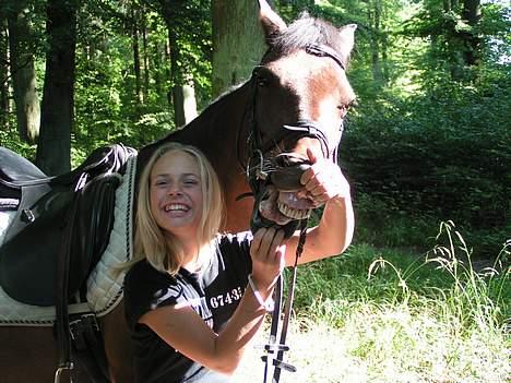 New Forest Bakkegaards Funny Bell  - Smil til fotografen.. billede 2