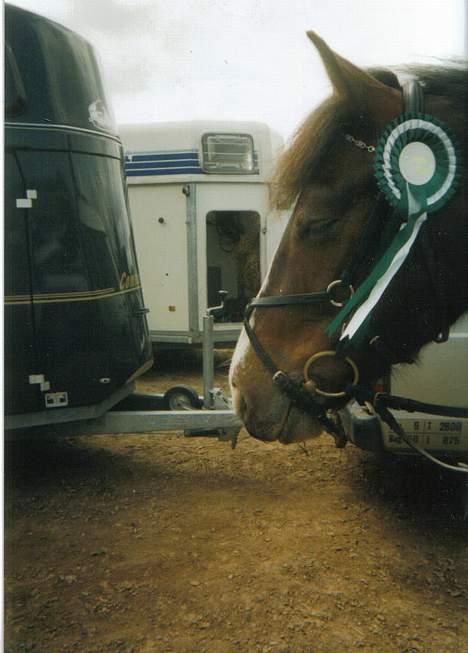 Tinker Frederik (Solgt) - Her har vi så fået en lille roset..  billede 6