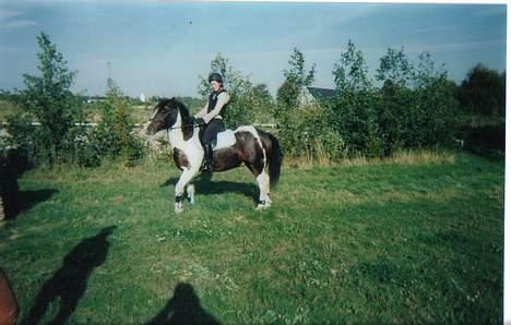 Tinker Frederik (Solgt) - Igang med springundervisning hjemme hos os selv.. billede 7