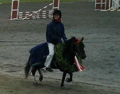 Gotlandsruss Maja (DØD) - Danmarksmester on her way!!! billede 3