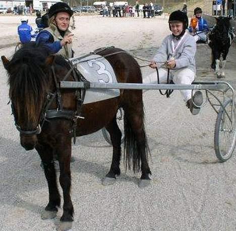 Gotlandsruss Maja (DØD) - Frederik vandt med Maja billede 5
