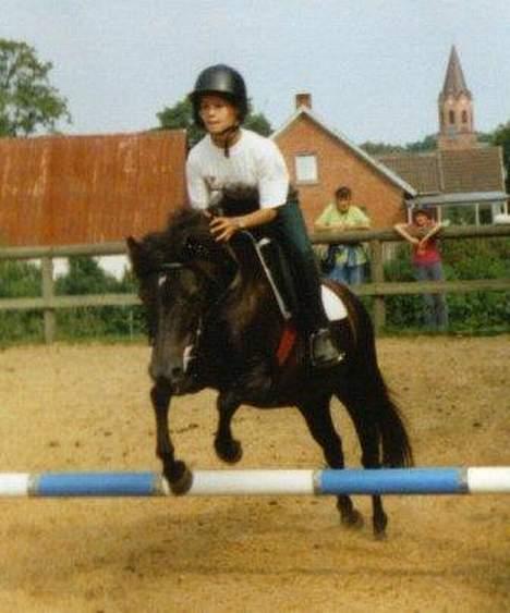 Gotlandsruss Maja (DØD) - Her springer Jeg og Maja... Der er nogle år siden nu... Mange år... billede 9