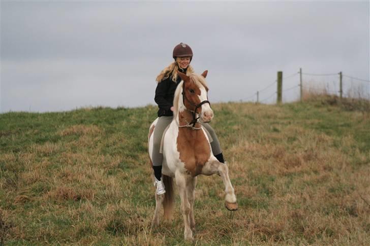 Anden særlig race Joe - hvil i fred - Er han ikke sej? Det har jeg lært ham, dadaaa. billede 11