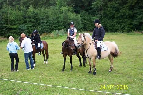 Anden særlig race Picasso billede 8