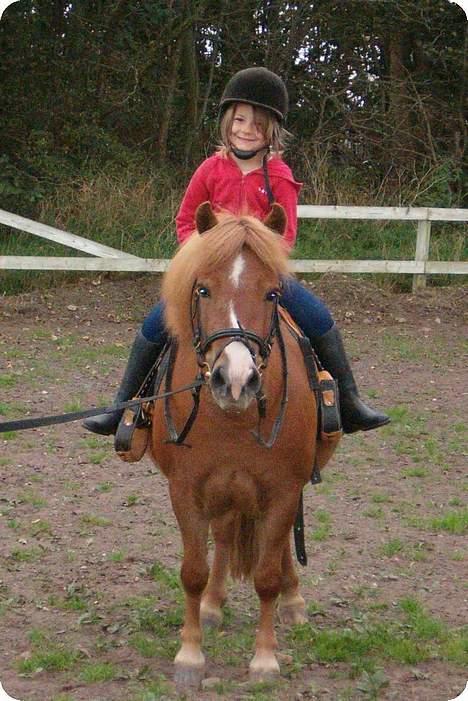 Anden særlig race Hyldtoft´s Pinocchio.  - Er de ikk et sødt par billede 8