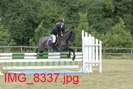 Connemara Molly Malone **R.I.P**:'( - Springstævne OHR LA billede 5