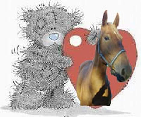 Frederiksborg Kiara - Min smukke Kiara billede 7