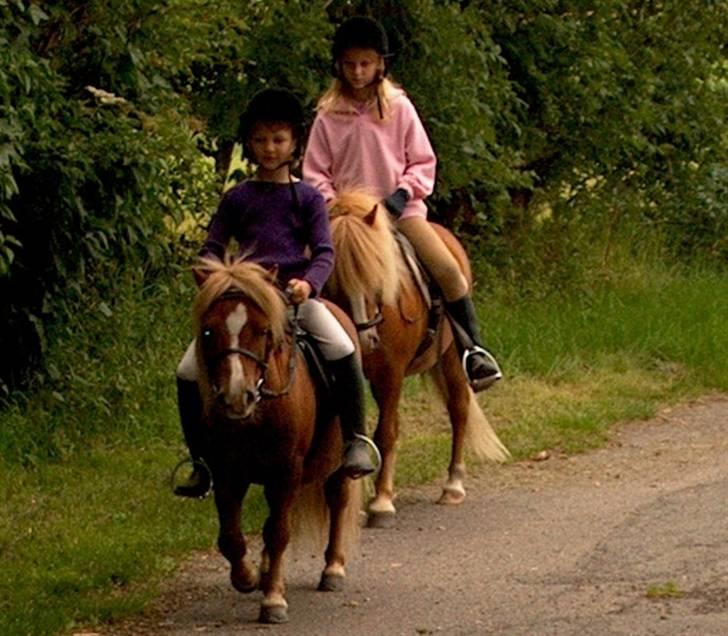 Anden særlig race Stebbi - Emma forrest på Bravheart, og Stebbi og jeg bagved. Se så fint han går ? :o) billede 9