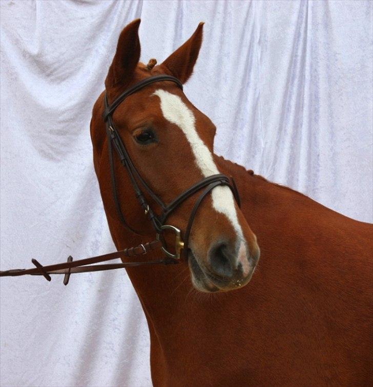 Frederiksborg Eislinn billede 1